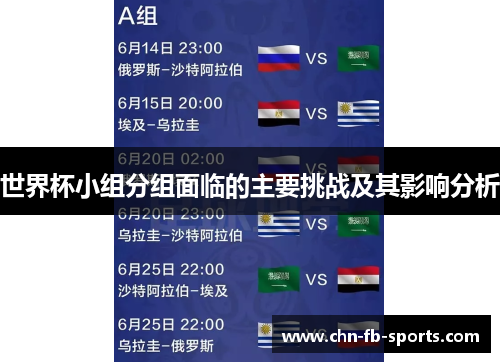 世界杯小组分组面临的主要挑战及其影响分析 世界杯小组分组面临的主要挑战及其影响分析