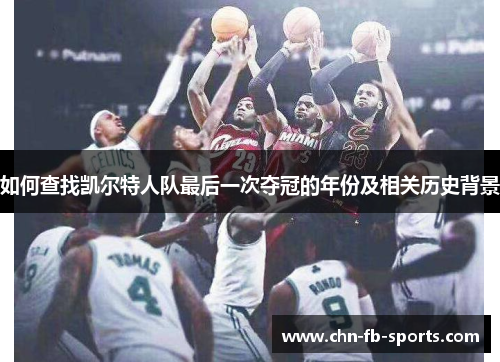 如何查找凯尔特人队最后一次夺冠的年份及相关历史背景