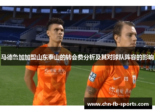 马德鲁加加盟山东泰山的转会费分析及其对球队阵容的影响 马德鲁加加盟山东泰山的转会费分析及其对球队阵容的影响