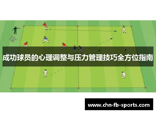 成功球员的心理调整与压力管理技巧全方位指南