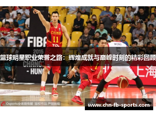 篮球明星职业荣誉之路：辉煌成就与巅峰时刻的精彩回顾